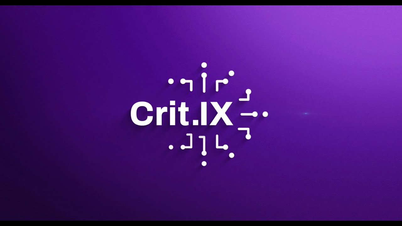 Crit.IX9 Vulnerabilities Overview