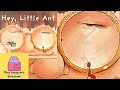 HEY, LITTLE ANT 🐜 / A Kids Book READ ALOUD about EMPATHY