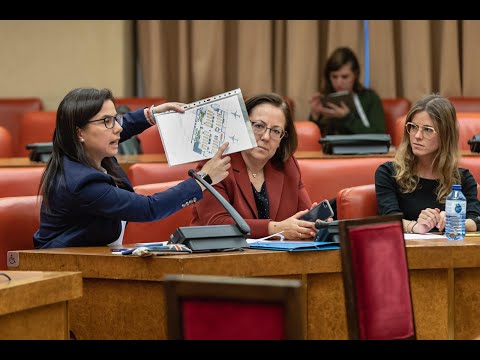Intervención de Ana Vázquez en la Comisión de Interior del Congreso