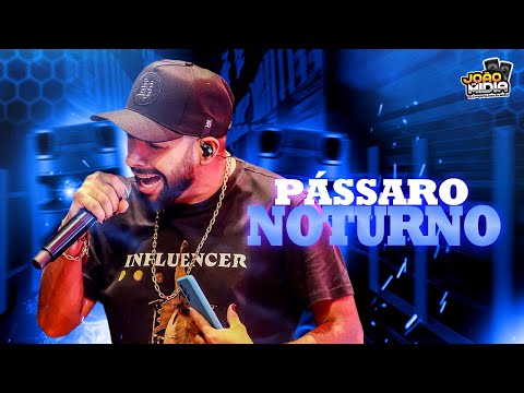 PÁSSARO NOTURNO UNHA PINTADA