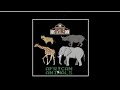 AFRICAN ANIMALS MUSIC Rooftile3747