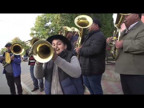 FANFARA DE LA VALEA MARE - COLAJ TOP 9 MELODII CELE MAI VIZIONATE