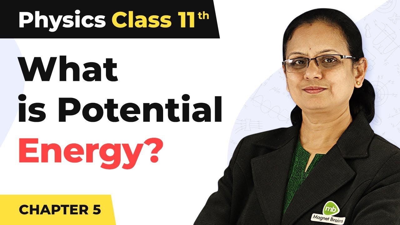 Potential Energy - Work, Energy and Power | Class 11 Physics