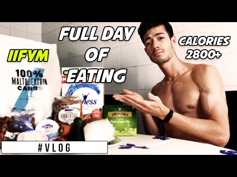 COSA MANGIO IN UN GIORNO DI MANTENIMENTO - IIFYM Normocalorica - Full Day of Eating | VLOG
