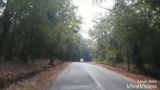 preview picture of video 'Kudremukh forest highway'