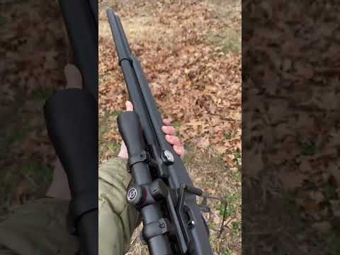 Umarex origin on target 🎯