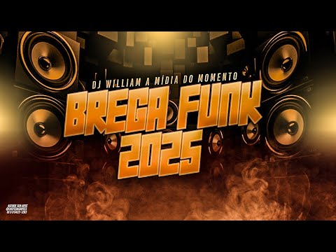 TOP BREGA FUNK 2025 / SELEÇÃO AS MAIS TOCADAS DO MOMENTO VIRAL TIKTOK / BREGA FUNK 2025 AS MELHORES