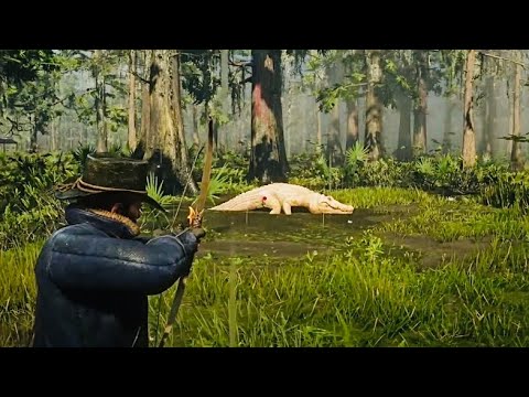 Well this legendary bull gator kill was anticlimactic
