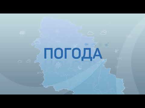 Прогноз погоды / 12.11.2021
