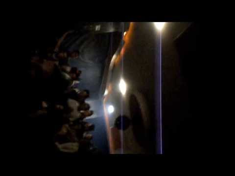 jdavidmons’s Video 108527387808 vMkjY5F5UNU