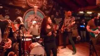 Dengue Fever - One Thousand Tears Of A Tarantula