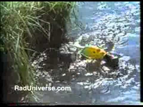 Give A Hoot! Don't Pollute 1986