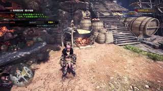 女の子好きの女の子MHW9日