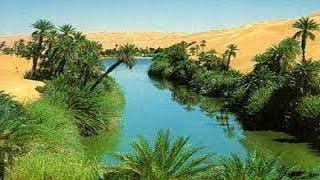 كلمات اغنية الواحة 1 عادل عبد المجيد ومحمد حسن