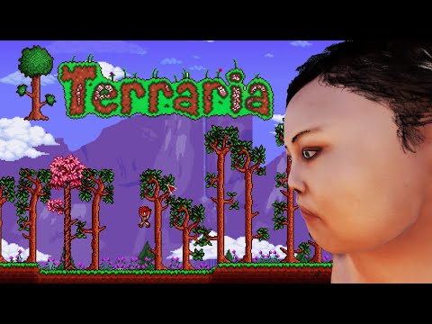 i played terraria on the hardest difficulty...