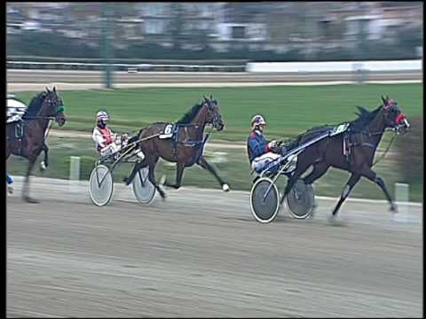 Trotto 02/12/2016 - 1ª corsa