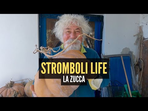 Stromboli Life - la vita sotto il Vulcano - La zucca di Natale