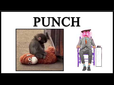 Lessons in Internet Culture and Lessons in Meme Culture