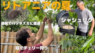 【19】リトアニアの夏|ヴィリニュス|リトアニアVlog|北欧・東欧|バルト三国|ヨーロッパ|海外生活|海外移住