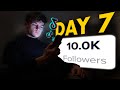 I Tried Growing A TikTok Theme Page From 0 - 10K Followers In 7 days