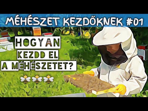 , title : 'Méhészet kezdőknek #01 - Hogyan kezdd el?'