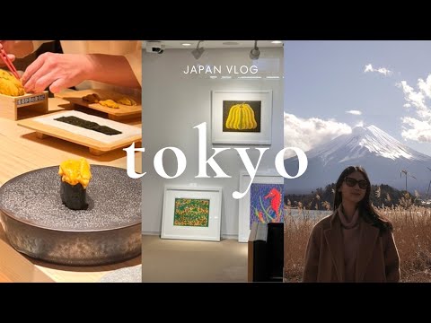 japan diaries: 4 days in tokyo | shopping, road trip to mount fuji, best omakase