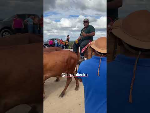 🎶🐂 A Festa dos Carreiros, no Parquedo Carro de Boi, em Inhapi-AL, foi marcada por muito sucesso