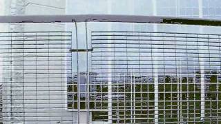 The Jesus Lizard - One Evening/S.D.B.J./My Own Urine