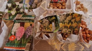 Tikrinu gėlių svogūnėlius 🧅🌷🏵⚘️ #lietuviškai #lithuanialive 