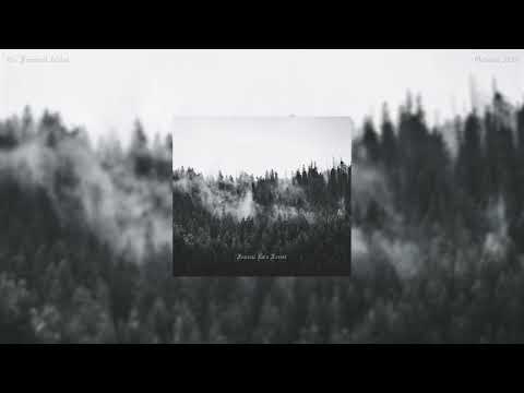 Funeral Rain Forest - Farewell fables