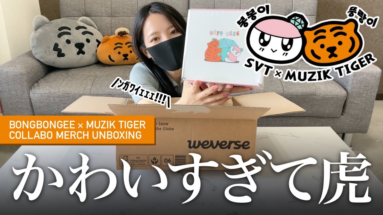 ボンボンイとムジークタイガーのコラボはえぐいて【CARAT/MUZIK TIGER】