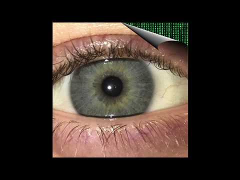 Wazhgas - Akis Danguje