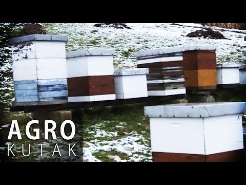 Agro Kutak 44 - Pčelarstvo zimi