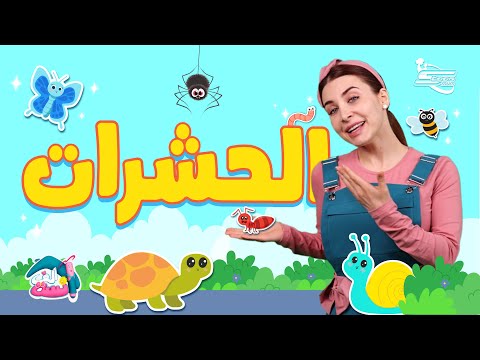 img-video