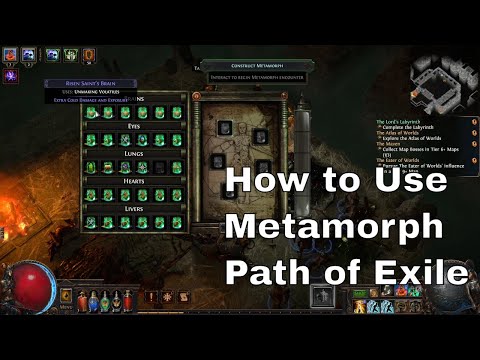 How to Create a Metamorph Monster in Path of Exile (Quick Guide)