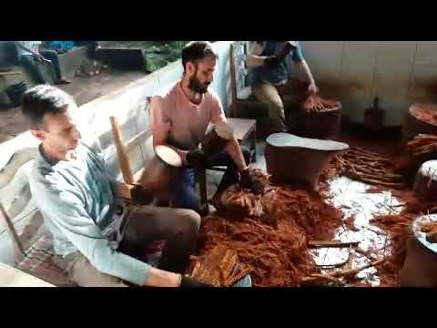 Academia do Mestre Irineu - Obedece ao mestre