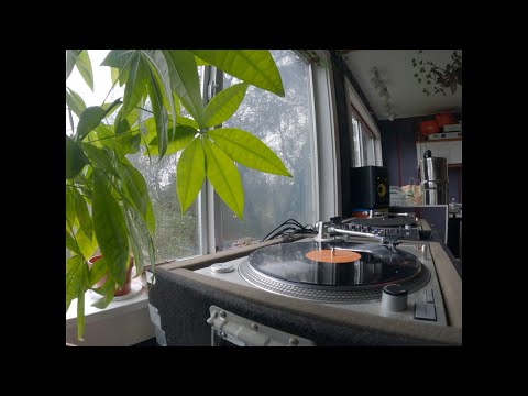 Liquid Drum and Bass || Mix by BDZ - Calibre Tribute Vinyl Only