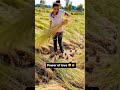 Power Of Love Shortvideo Youtubeshorts Farming Farmer Sonikasms