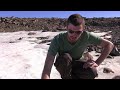 Disko Island Expedition: Snow Algae