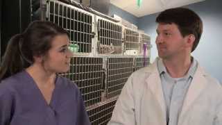 Top 10 ways veterinarians infuriate their technicians