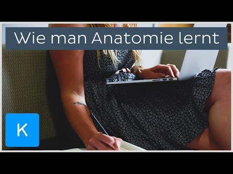 Tests für den Nachweis von Arthritis Gelenke Vitamine für die Knochen Gelenke und Knorpel