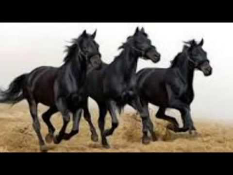 Stipica Mazar -Ciji li su ono konji vrani