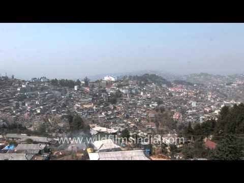 Kohima video