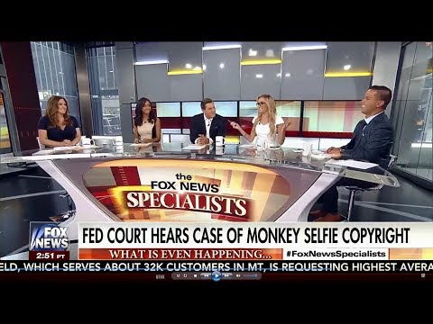 07-13-17 Kat Timpf on The Fox News Specialists - Complete, Uncut Show
