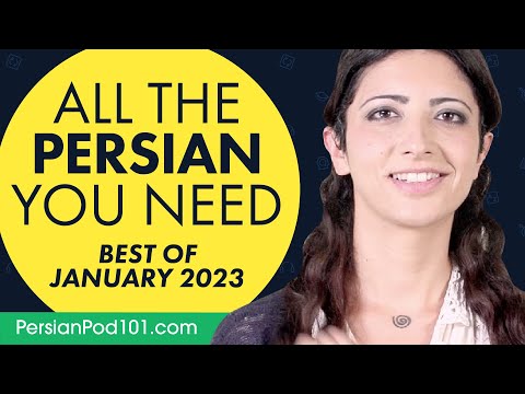 Your Monthly Dose of Persian - Best of January 2023