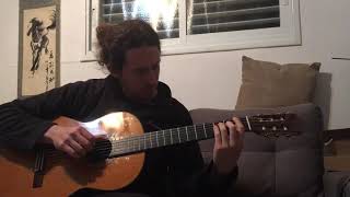 Brian Wilson - There&#39;s So Many (Solo Guitar)