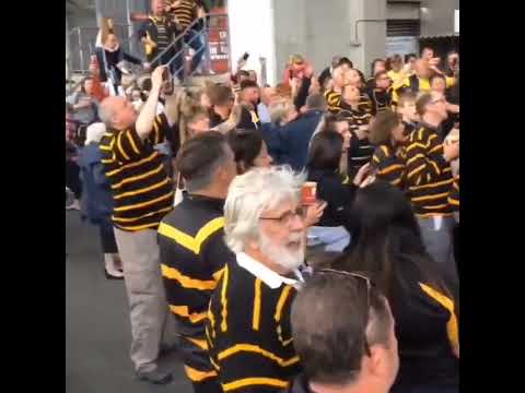 Cornwall my home 2022 Twickenham