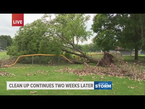 How Grand Rapids Prioritizes Remaining Storm Cleanup Efforts