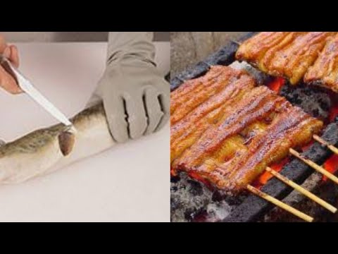 How to clean and cook American eel