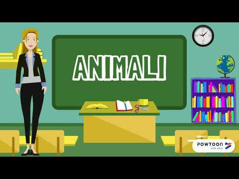 Animali invertebrati e vertebrati